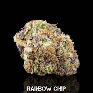 RAINBOW CHIP